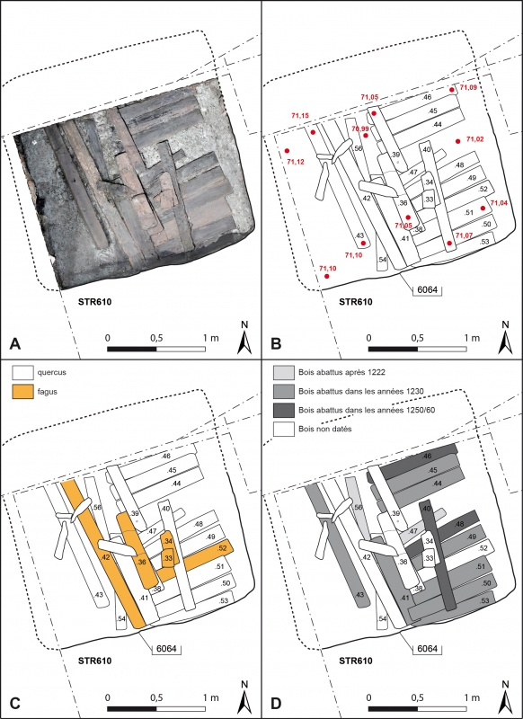 Figure 10. Le platelage mis au jour au fond de la STR610, avec l’orthophotographie (A) ; le relevé des pièces de bois (B) ; les essences de bois (C) ; les résultats dendrochronologiques (D).