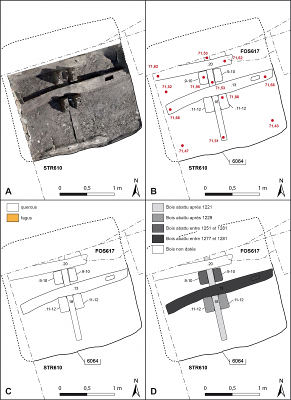 Figure 13. Les taissons et leur système de chaînage mis au jour dans la STR610, avec l’orthophotographie (A) ; le relevé des pièces de bois (B) ; les essences de bois (C) ; les résultats dendrochronologiques (D).