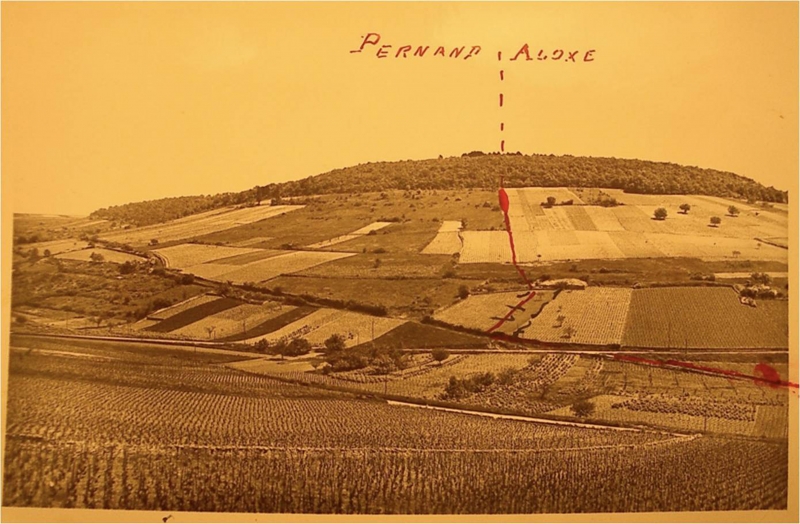 Figure 1. La colline de Corton photographiée en 1937.