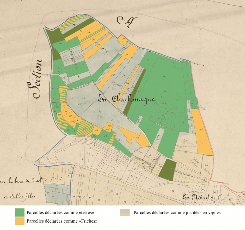 Figure 3. cartographie de l’utilisation des terres sur le climat « En Charlemagne » à Pernand-Vergelesses en 1940, selon les matrices cadastrales.