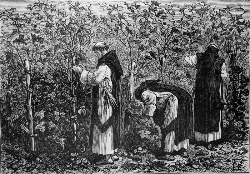 Figure 1. « Les moines bourguignons cultivant la vigne, au moyen âge (sic) ». Illustration extraite des merveilles de l’industrie par Louis Figuier, 1877, Fondo Antiguo de la Biblioteca de la Universidad de Sevilla, Espagne