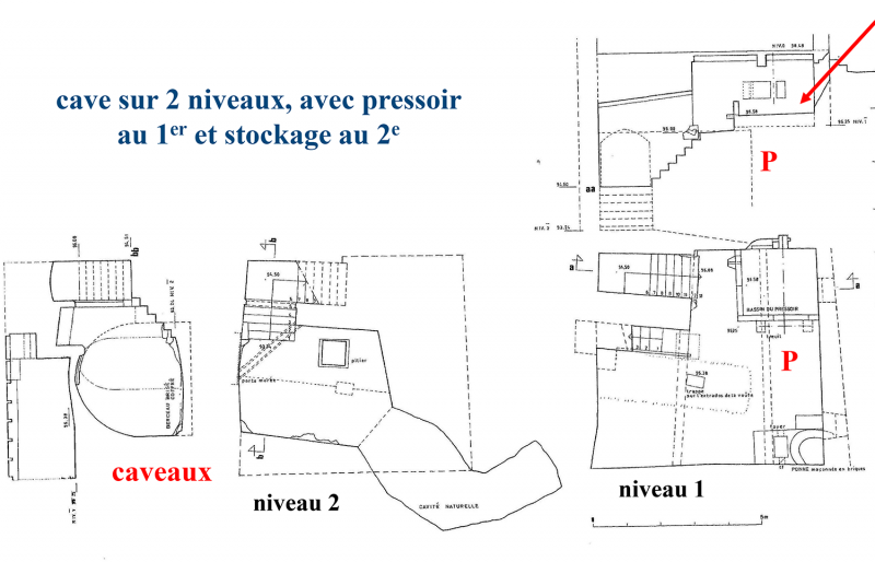 Fig. 4 : Airvault (Deux-Sèvres) : cave de la maison 47, rue de Bretagne (n° 2 sur le plan).