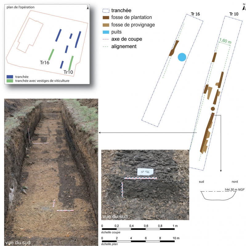 Figure 10 : relevés et photos en plan et en coupe des fosses découvertes sur le site des rues de la Malterie et André Theuriet à Saint-Dizier.