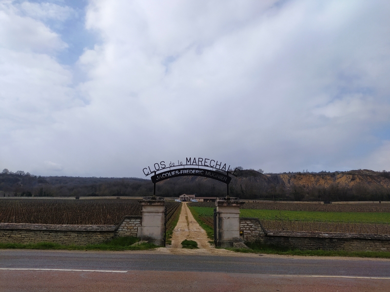 Figure 3 : Clos de la Maréchale, Premeaux-Prissey.