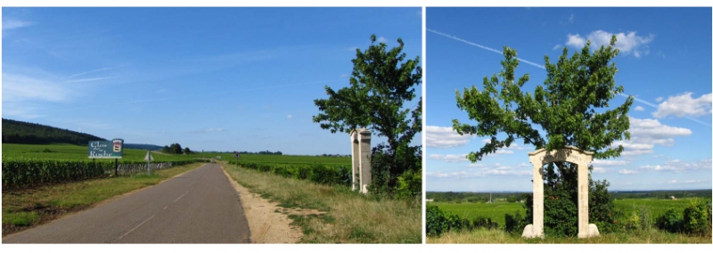  Figure 7 : Clos de l&apos;Orme et Clos de la Roche (Morey-Saint-Denis) (photos : M. Foucher 2014).