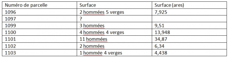  Figure 3 : Description des parcelles viticoles de l’abbaye de Saint-Remi au lieu-dit des Cochênes dans le plan-terrier du XVIIIème siècle