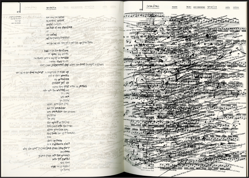 Figure 2 : Pages du livre i mean you know, de Warren Lehrer, np.