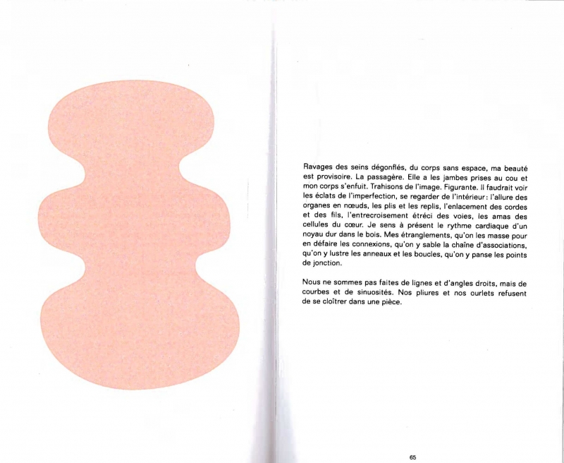 Figure 1 : Pages 64-65 du livre Petite brindille de catastrophes.