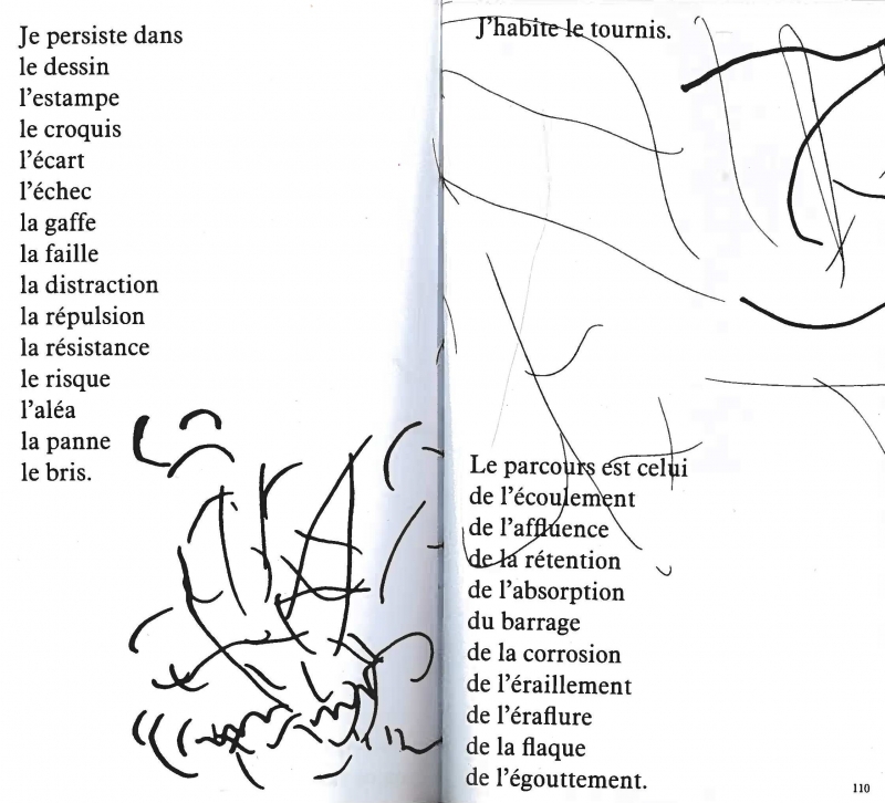 Figure 2 : Pages 109 et 110 du livre Il existe un palais de teintes et d’hyperboles.