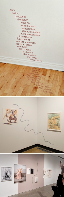Figure 5 à 7 : Photographies de différents fragments poétiques de Mimi Haddam exposé à Moncton et Montréal dans le cadre du cycle d’expositions Le septième pétale d’une tulipe-monstre.