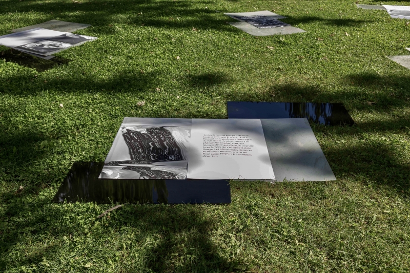 Figure 8 : Vue de l’installation Plasticités tombales de Mimi Haddam, été 2021, Montréal.