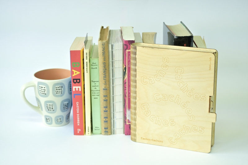 Illustration 1 : Cache en bois en forme de livre, entrouverte, devant une bibliothèque