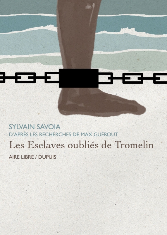 Figure 1. Recherche de couverture pour l’album Les Esclaves oubliés de Tromelin.