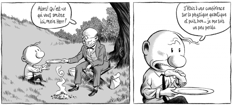 Figure 1. Mathieu Burniat et Thibault Damour, Le Mystère du monde quantique, p. 19.