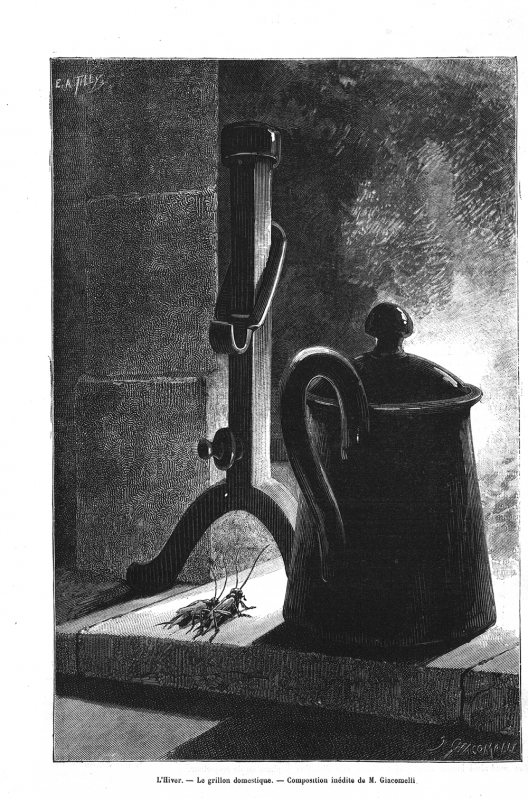 Figure 12. Auguste Tilly d’après Hector Giacomelli, « L’hiver – Le grillon domestique – Composition inédite de M. Giacomelli », La Nature, premier semestre, 1883, p. 41.