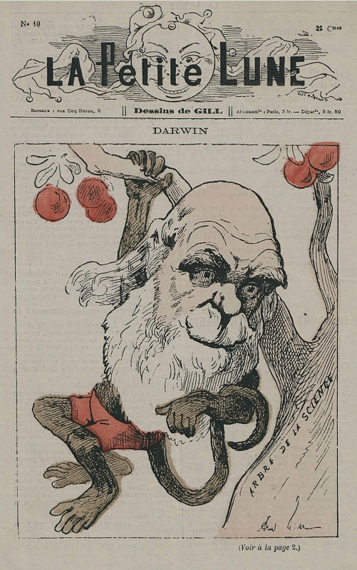 Figure 2. André Gil, « Darwin », La Petite Lune, n° 10, août 1878.