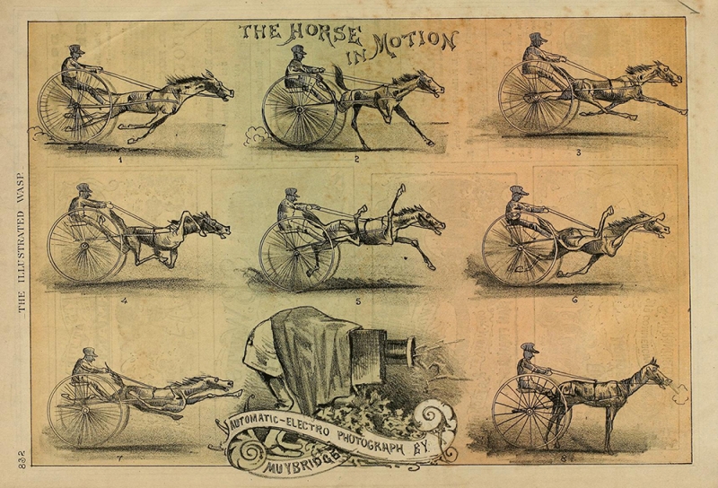 Figure 7. F. Korbel and Bros, d’après Eadweard Muybridge, The Horse in Motion, The San Francisco Illustrated Wasp, vol. 2, n° 104, 28 juillet 1878.