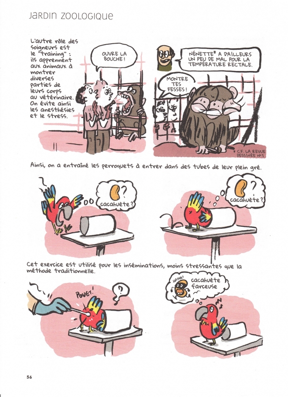 Figure 8. Marion Montaigne, « Dans les pas des soigneurs », n° 2, décembre 2013, p. 56.