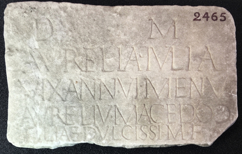 Figure 1 : Aurelius Macedo.