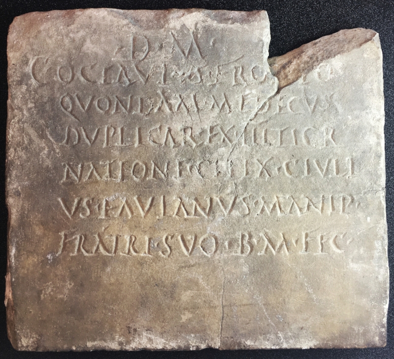 Figure 2 : Un medicus duplicarius.