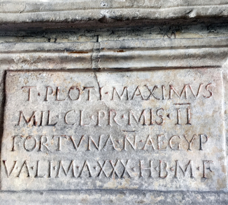 Figure 8 : Détail de l’urne cinéraire de T. Plotius Maximus.