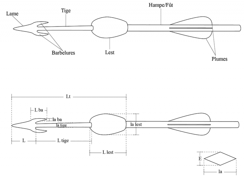 Figure 1 : nomenclature et abréviation des données métriques relevées sur les plumbatae.