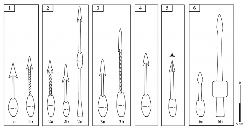 Figure 2 : proposition de classification des plumbatae.