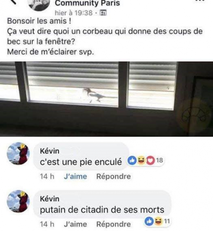 Illustration 1 : capture d’écran à l’origine du groupe « C’est une pie, enculé » sur Facebook, page de couverture, mars 2020