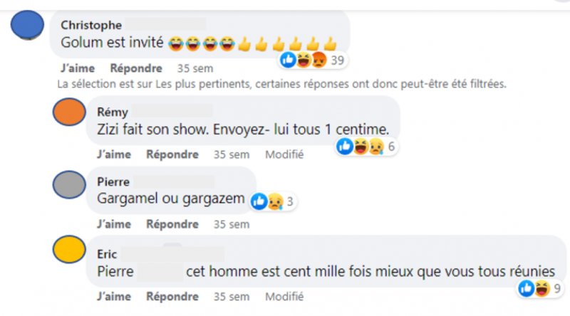Illustration 2 : Capture d’écran d’un extrait parmi des milliers de commentaires : interview d’E.Z.